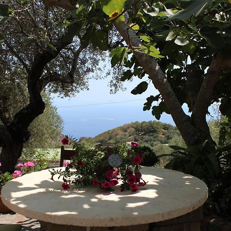 Casa Josella Villa Massa Lubrense Eksteriør bilde