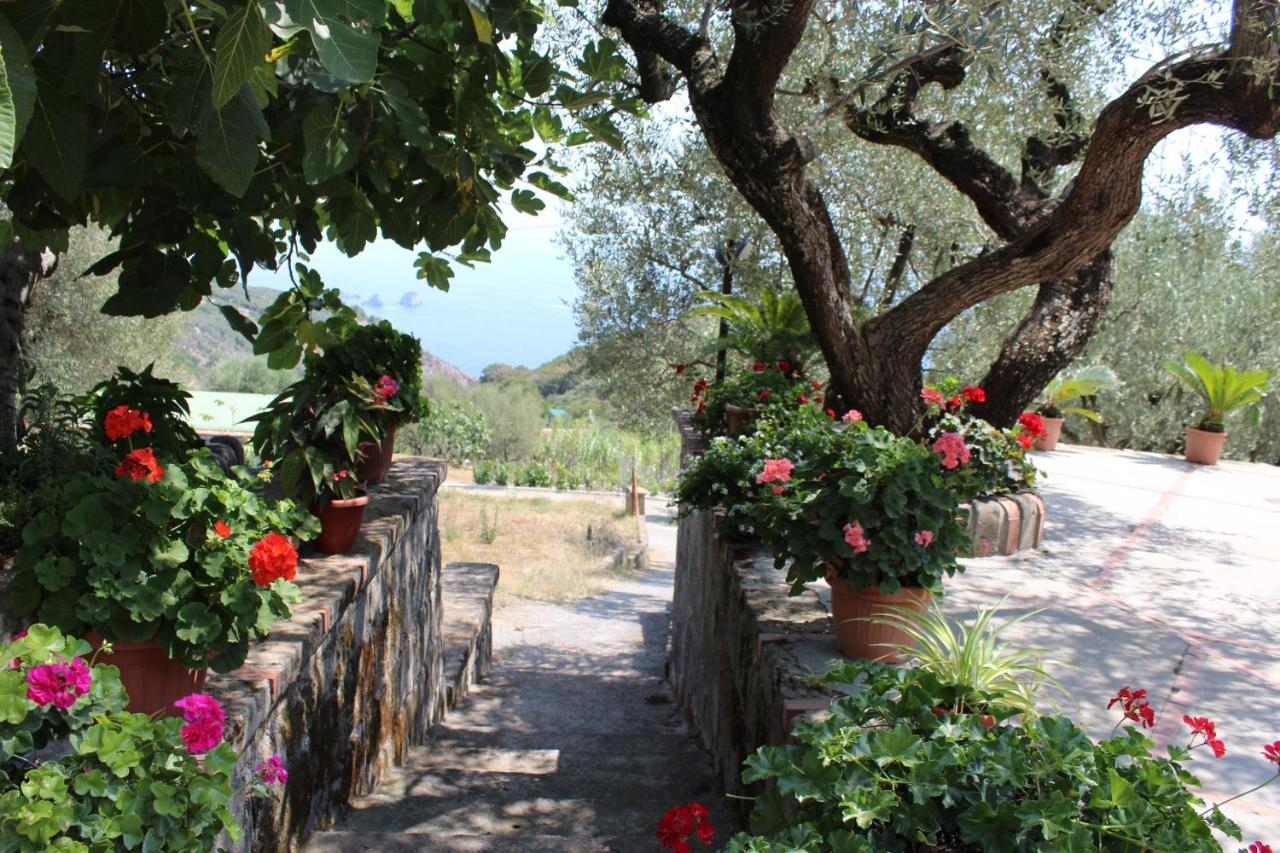 Casa Josella Villa Massa Lubrense Eksteriør bilde
