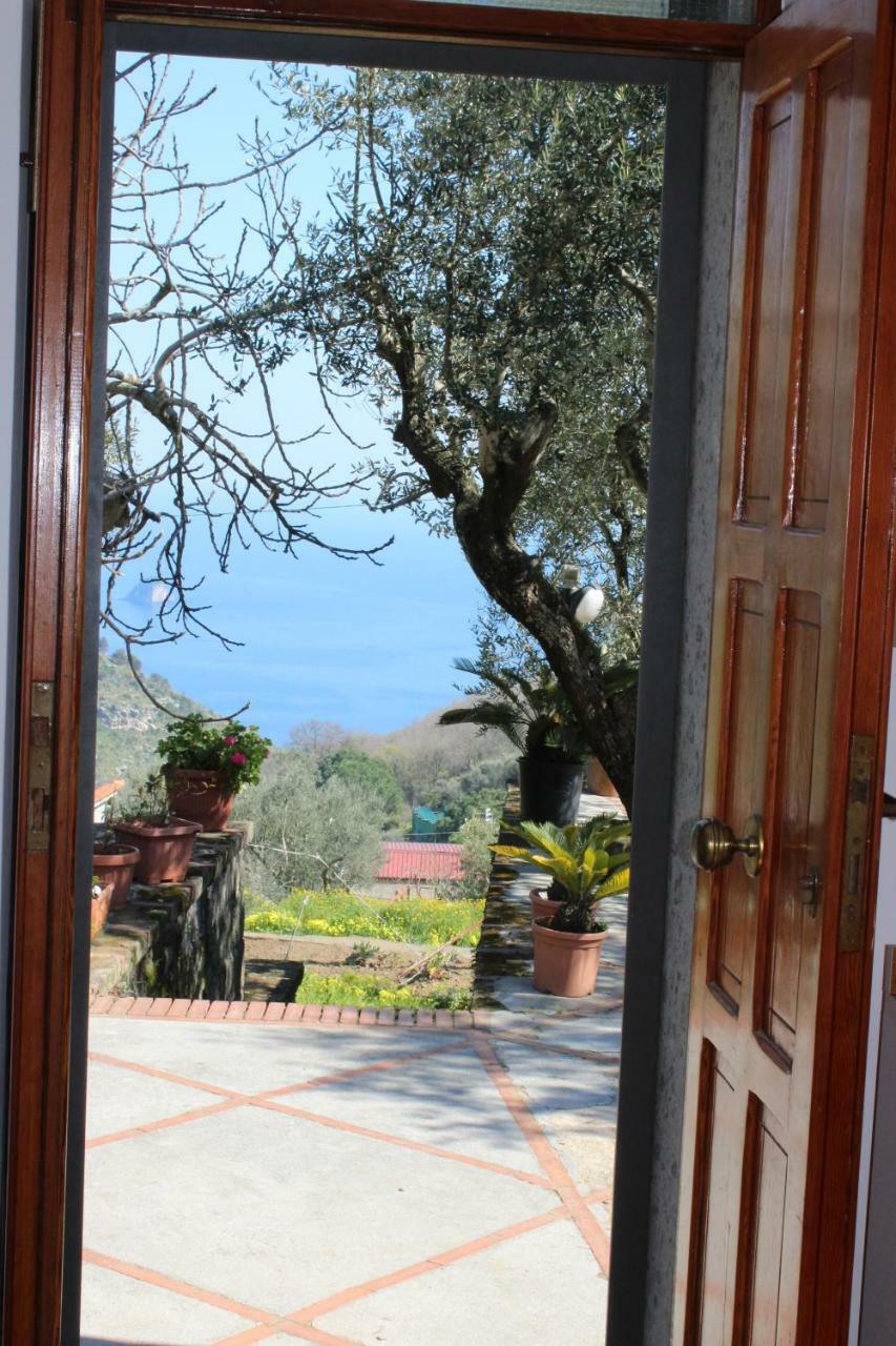 Casa Josella Villa Massa Lubrense Eksteriør bilde