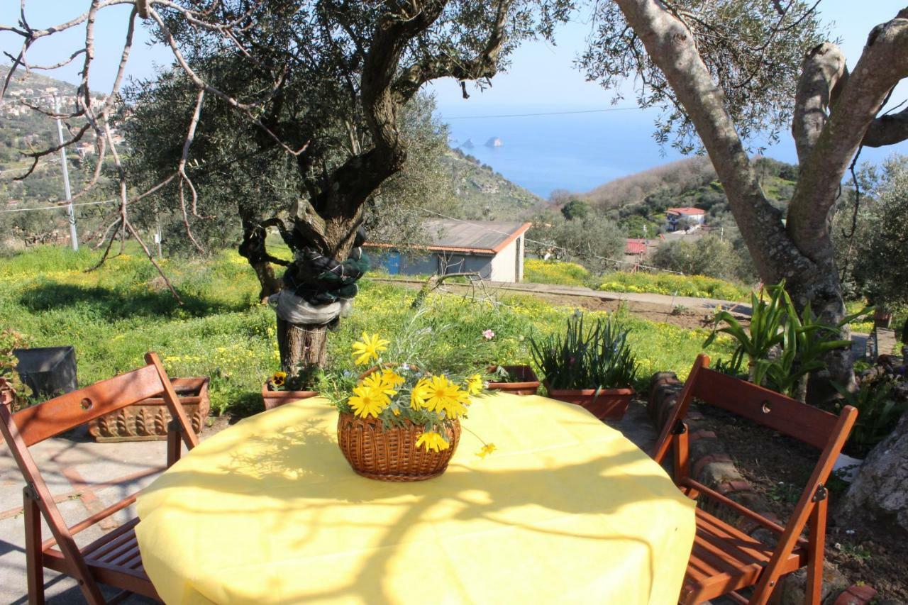 Casa Josella Villa Massa Lubrense Eksteriør bilde