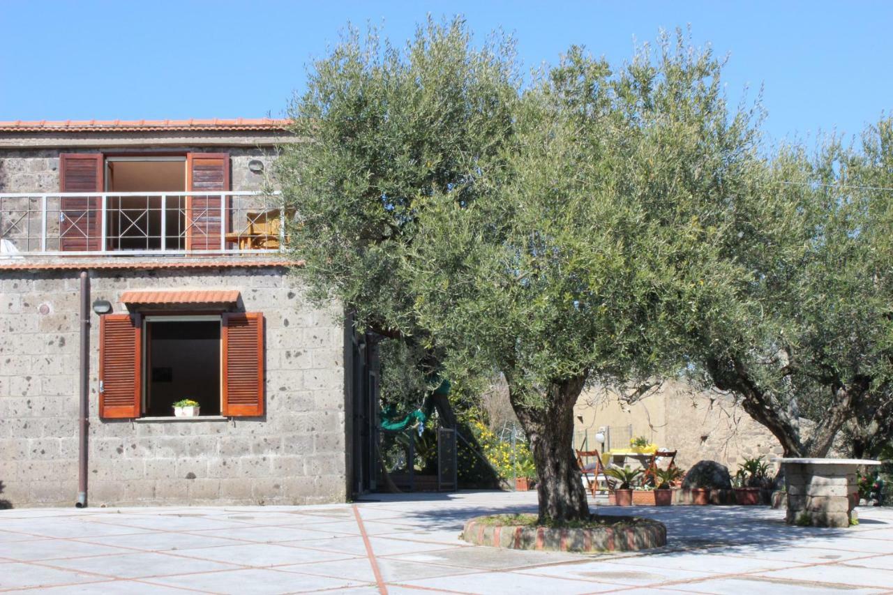 Casa Josella Villa Massa Lubrense Eksteriør bilde