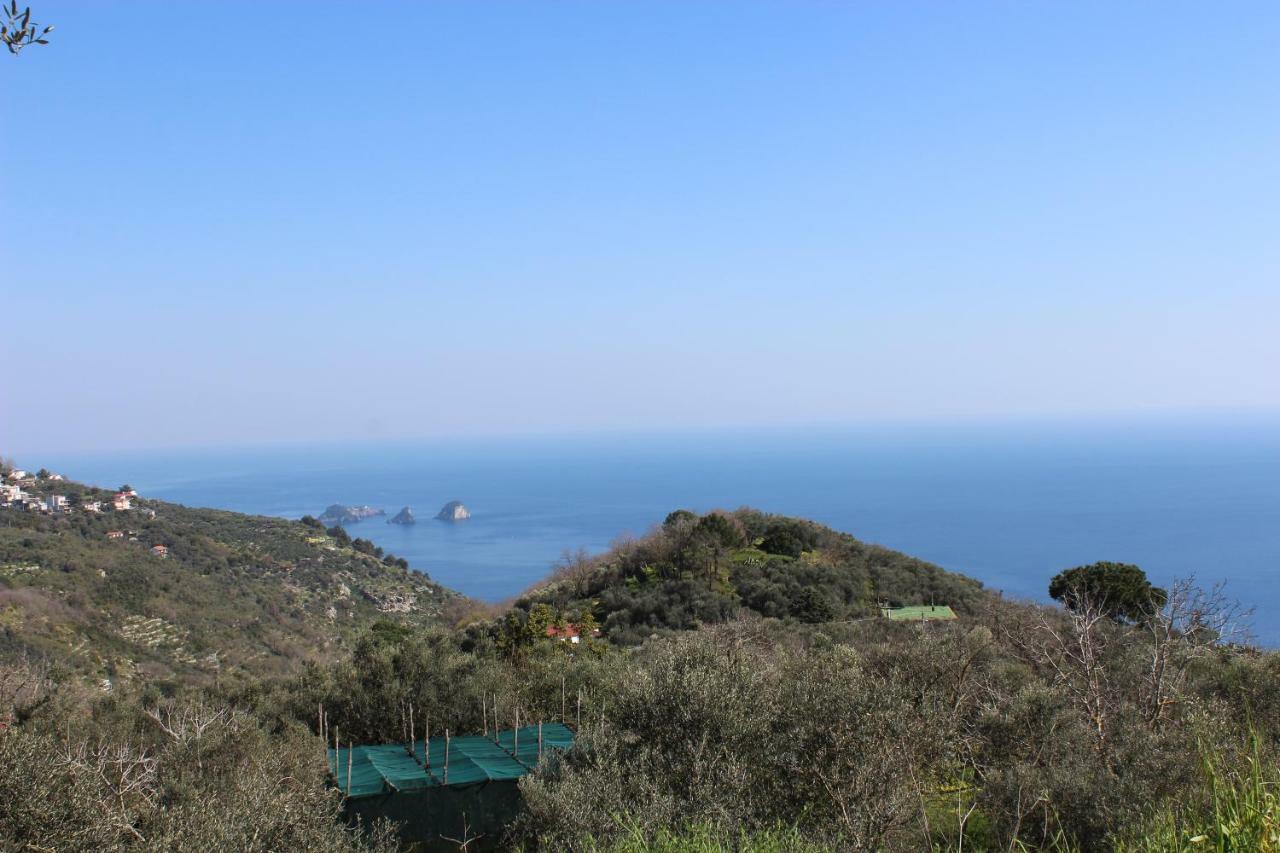 Casa Josella Villa Massa Lubrense Eksteriør bilde