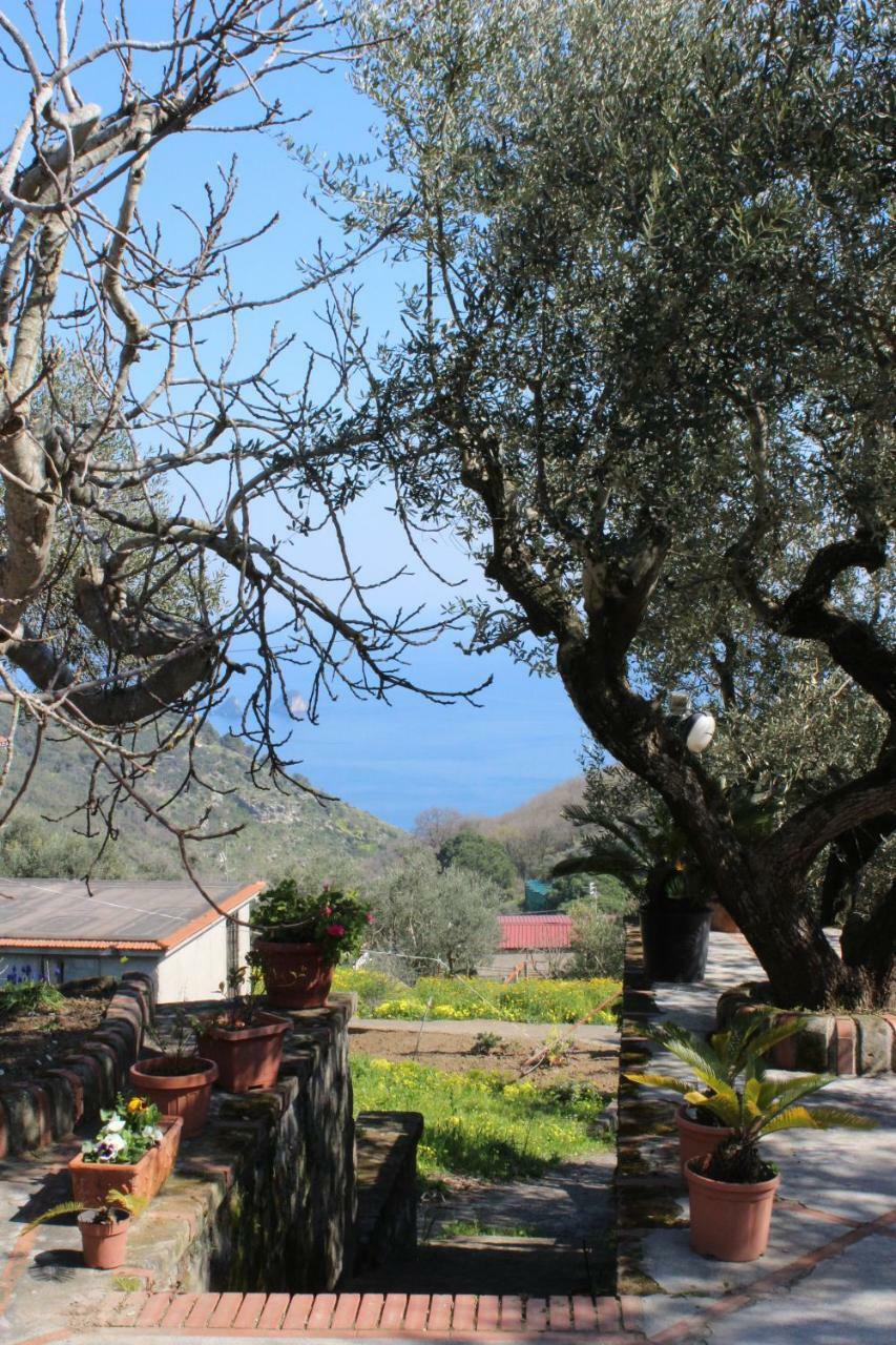 Casa Josella Villa Massa Lubrense Eksteriør bilde