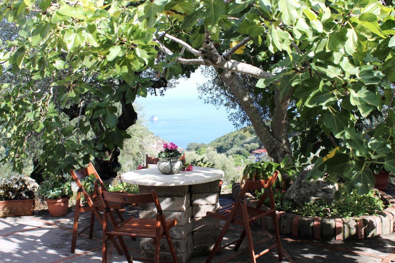 Casa Josella Villa Massa Lubrense Eksteriør bilde